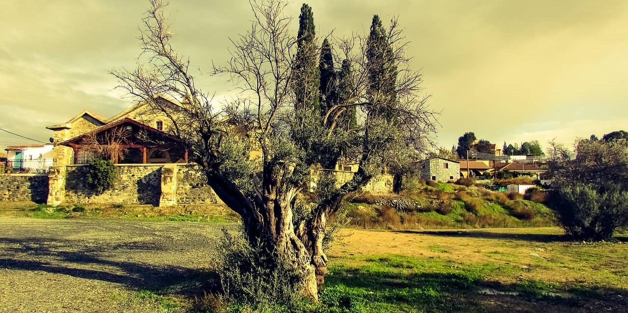 assurance habitation l'olivier